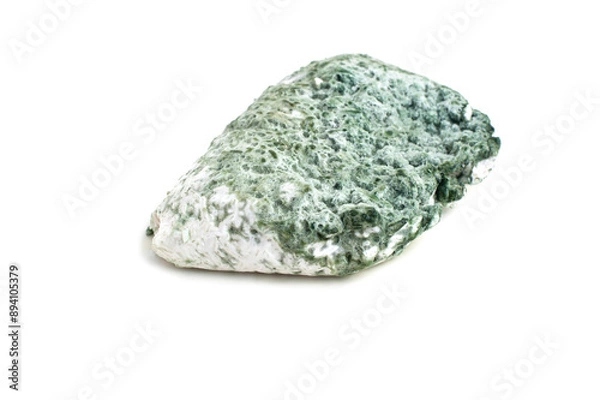 Obraz Trichoderma harzianum on white background.