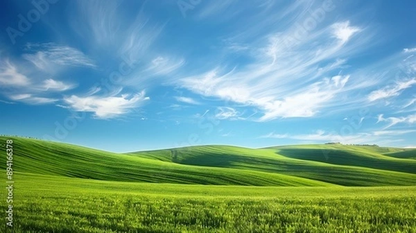 Obraz Rolling Green Hills Under a Blue Sky