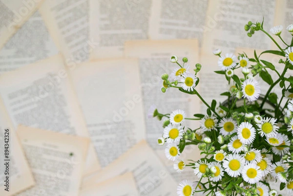 Fototapeta book with flowers