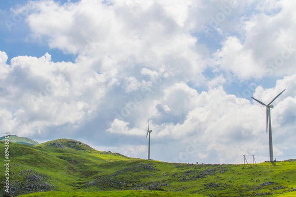 Fototapeta 愛媛県　四国カルスト　姫鶴平の風景