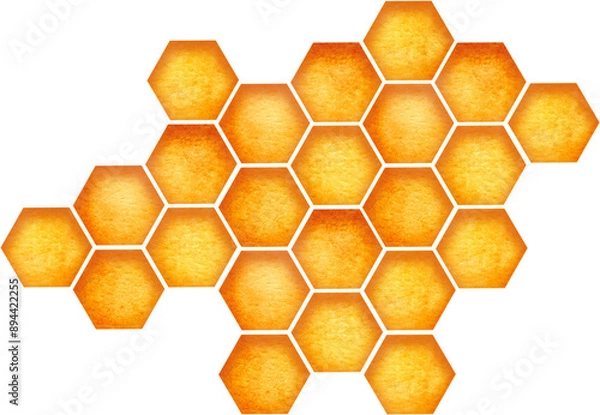 Obraz Honeycomb. Watercolor element hexagonal bee honeycombs isolated on white baskground.  Concept of healthy natural nutrition.