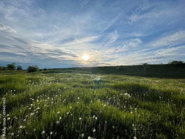 Obraz sunset over the field