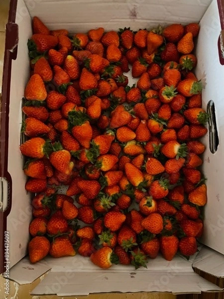 Obraz strawberry 