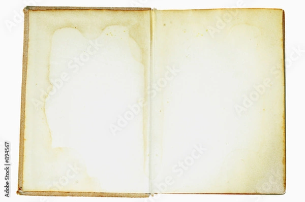 Obraz vintage book #3