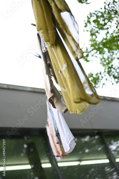 Obraz clothes hanging in the garden
