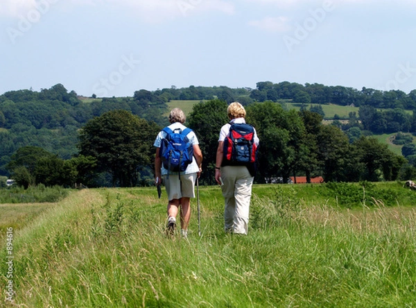 Obraz the trefriw trail.
