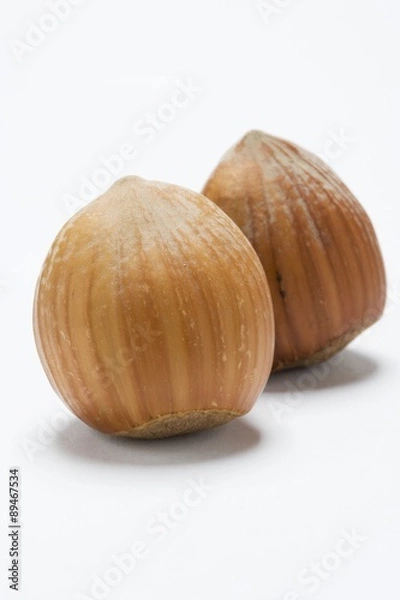 Fototapeta Two hazelnuts