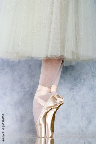 Obraz Dancer in ballet pointe