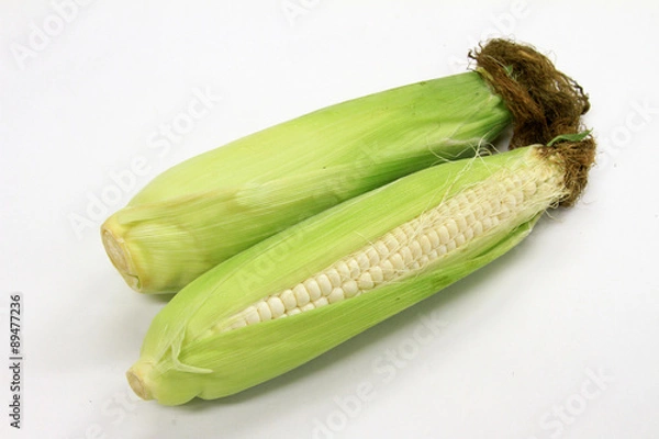 Obraz 白いとうもろこし