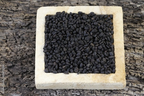 Fototapeta Bu Gu Zhi (Babchi seeds, Fructus psoraleae)