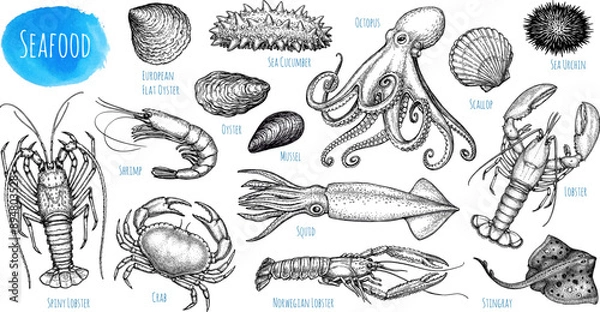 Obraz Seafood ink sketch set.