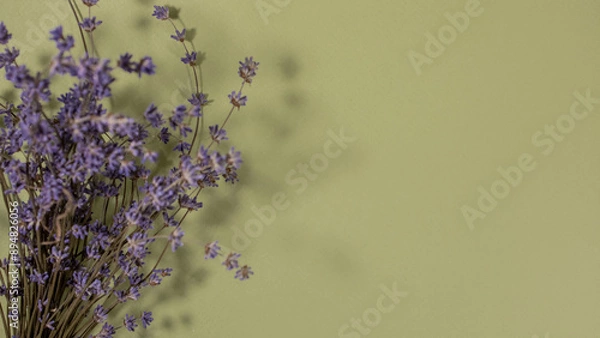 Obraz Dried lavender banner