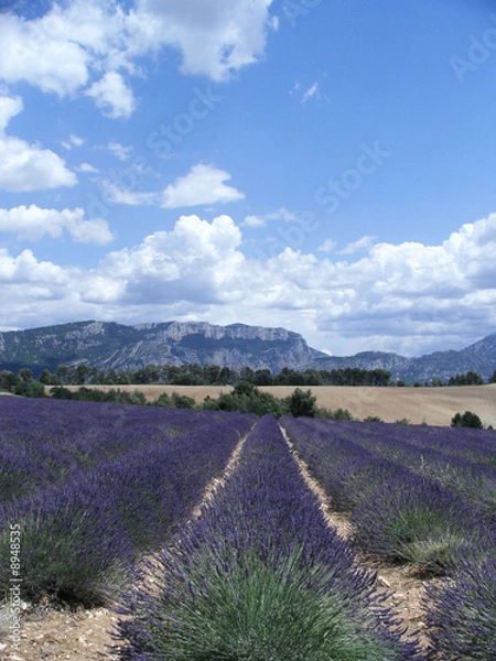 Obraz Gorges du Verdon
