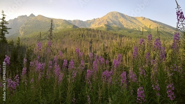 Fototapeta Mountain view with flowers