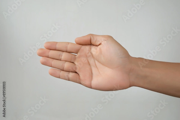 Obraz human hands five finger isolate