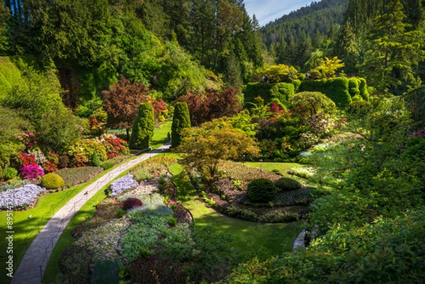 Obraz Sunken garden at Butchart Gardens
