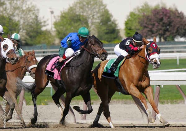 Obraz horse race