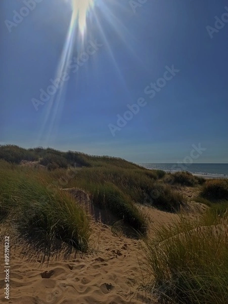 Obraz dunes under sunrays