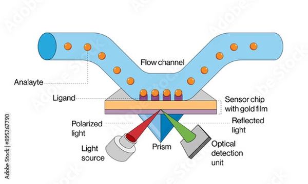 Fototapeta Surface Plasmon Resonance Principle and Instrumentation Vector Illustration on White Background, SPR Technique, Science Graphic.