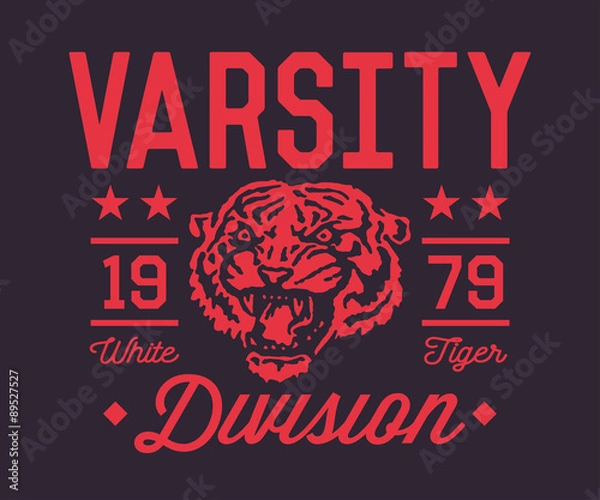 Obraz Varsity Sport Division