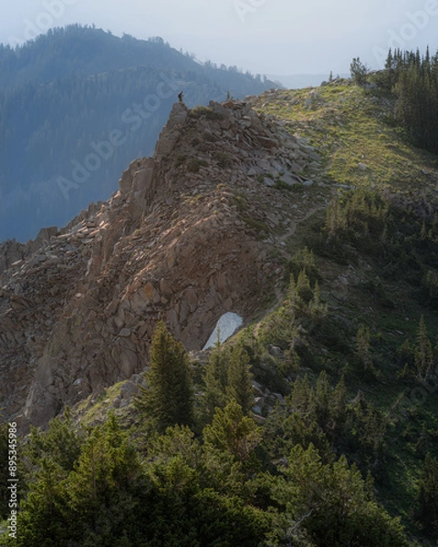 Obraz The Lone Hiker