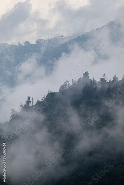 Fototapeta smoky mountains