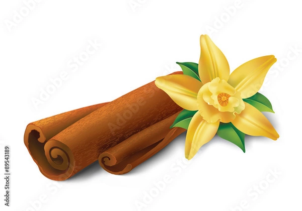 Fototapeta Vanilla  and cinnamon