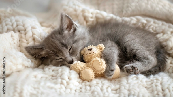 Fototapeta Fluffy Kitten Sleeping with Teddy Bear on Soft Blanket