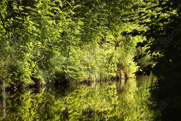 Obraz Spreewald, Kanutour