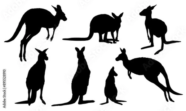 Fototapeta Set of Australian big red kangaroo silhouettes. Osphranter rufus females, males and baby kangaroos in different poses. realistic vector animal