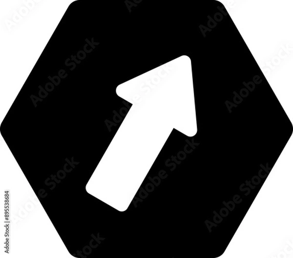 Fototapeta arrow hexagon icon version 2