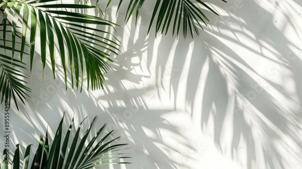 Fototapeta Palm Leaves and Shadow