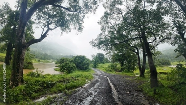 Fototapeta A winding path through lush green forest with trees on both sides, rain falling in the background.