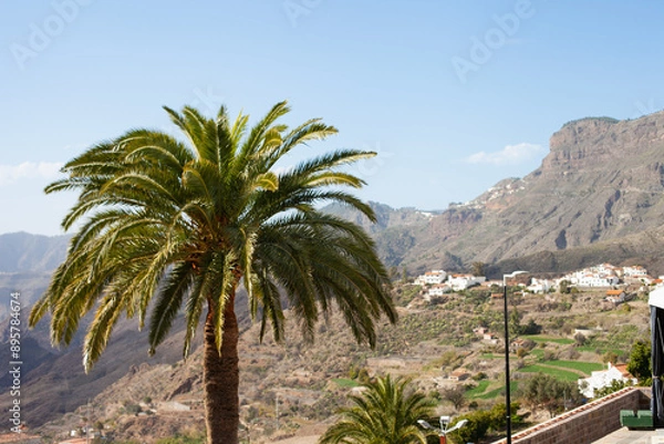 Obraz view on the palm trees and mountains in Tejeda village in the scenic mountains of Gran Canaria, Canary Islands, Spain. Tourism sightseeing destination. 
