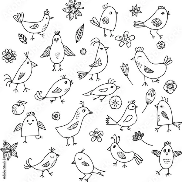 Fototapeta Black and white birds and flowers set