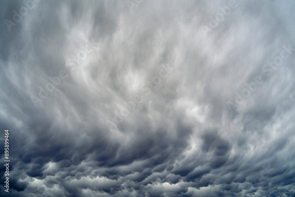 Obraz mammatus