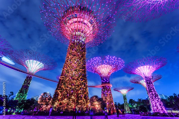 Obraz Singapore garden