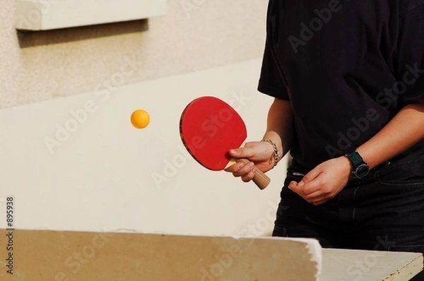 Fototapeta ping pong #2