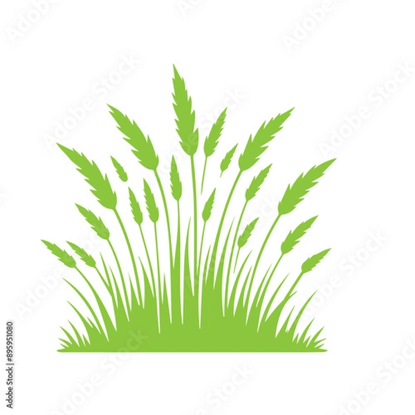 Obraz  green grass design flat vector illustration