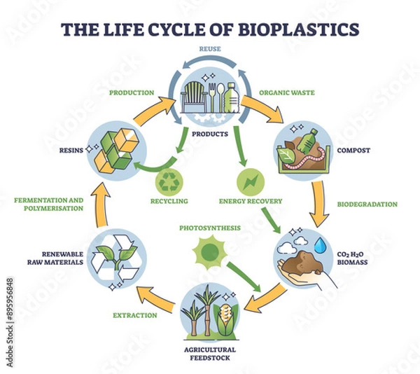 Fototapeta Life cycle of bioplastics and reusable materials production outline diagram, transparent background. Labeled educational scheme with organic and nature friendly garbage management.