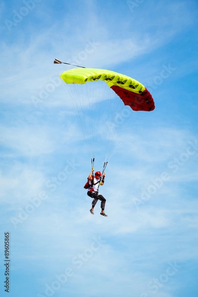 Obraz Skydiver in the sky