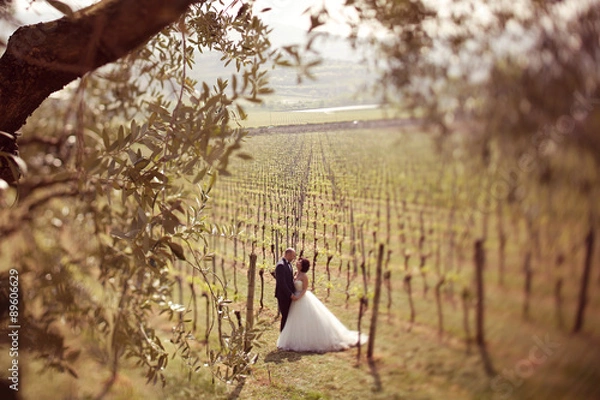 Fototapeta Bride and groom in a vineyard