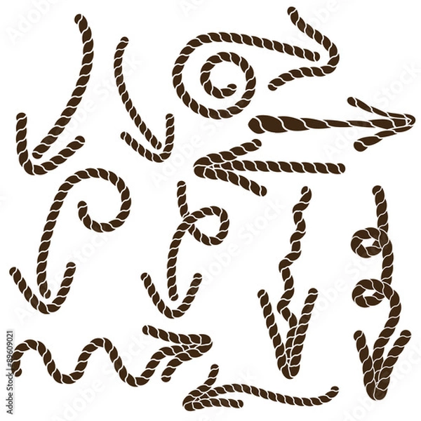 Fototapeta Eleven brown arrows from the rope.