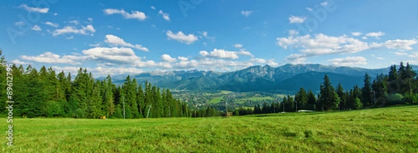 Fototapeta Panoramic view of Tatras