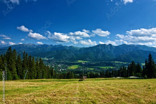 Fototapeta View of Zakopane