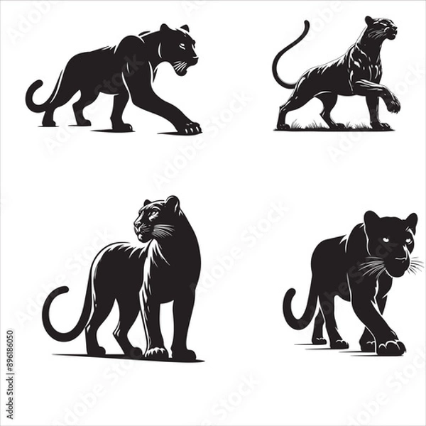 Obraz silhouette of balck and white Panther isolated on white backgorund 