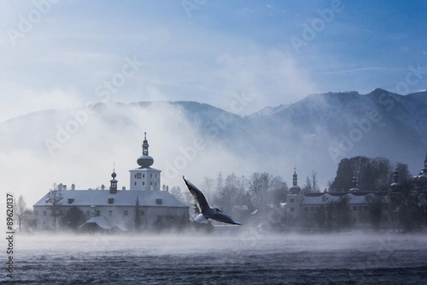 Obraz Bird over Winter Lake