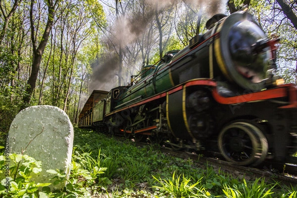Obraz Liliputbahn in Vienna