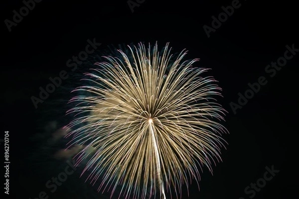 Fototapeta 打ち上げ花火6