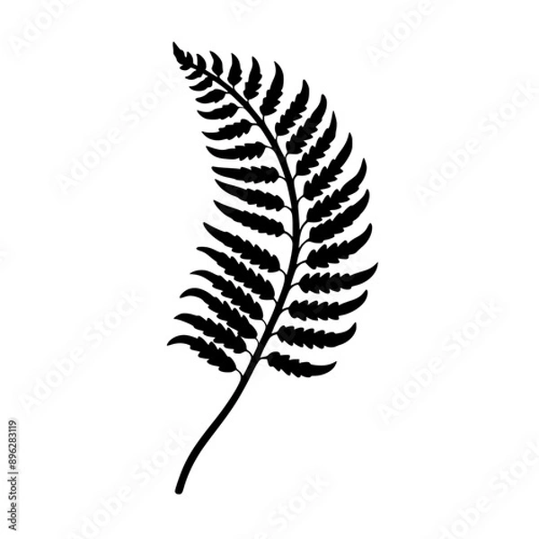 Obraz Fern Leaf Vector